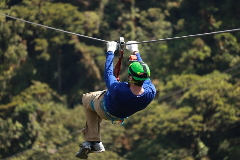 Ziplining Thrills