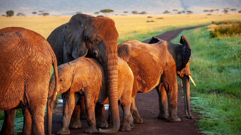 Kruger National Park