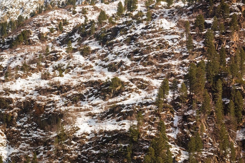 Mountain Landscape